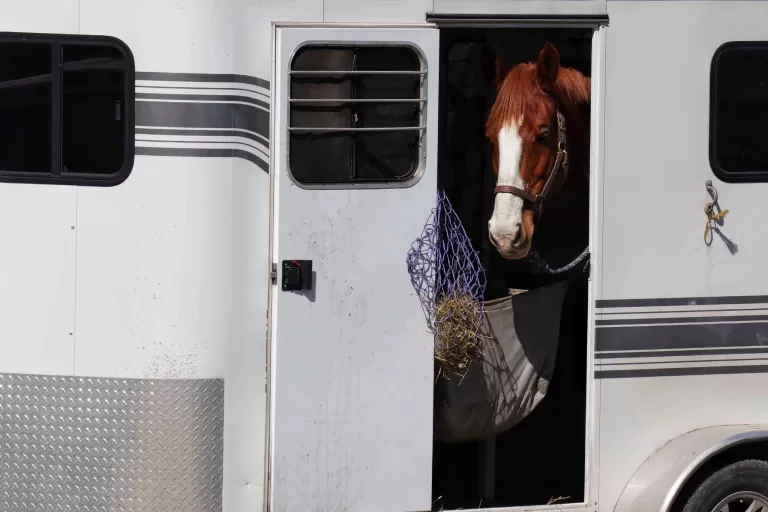 horse_theft protect horse from tack theft, horse eating hay iin a float